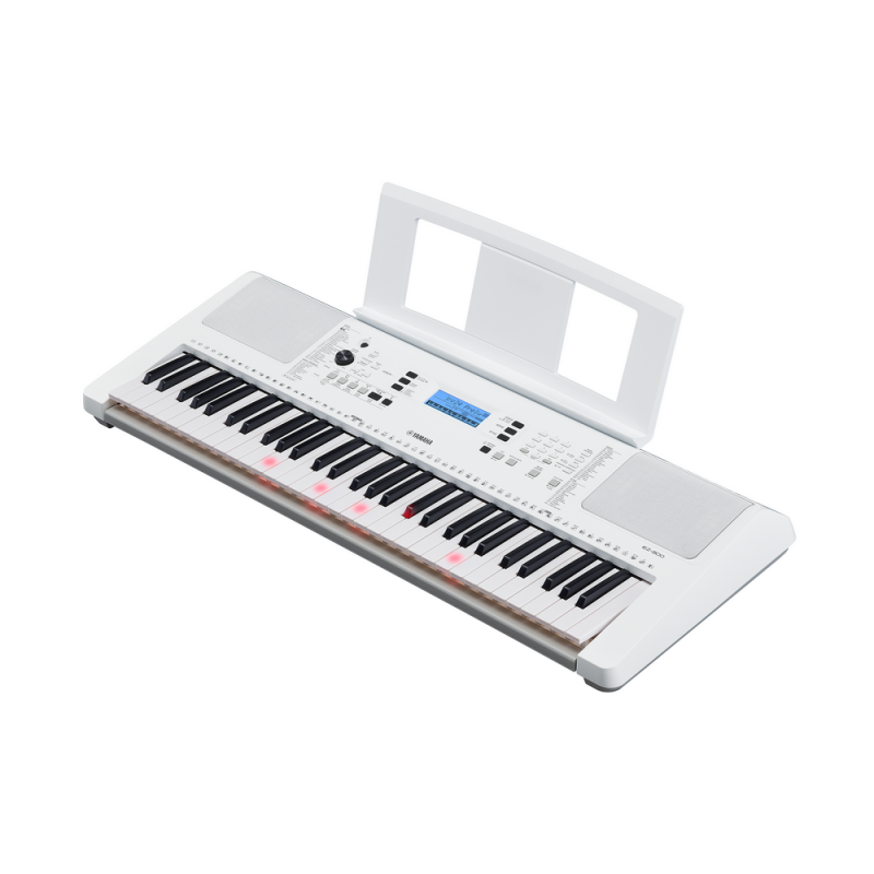 Yamaha EZ-300 Купить в Киеве, Украине. Цена. Обзор