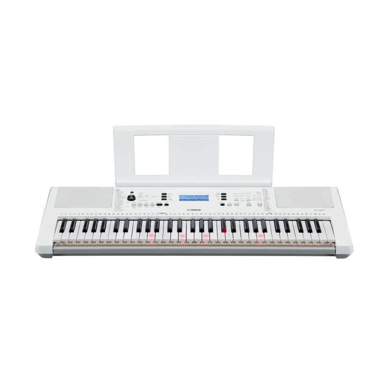 Yamaha EZ-300 Купить в Киеве, Украине. Цена. Обзор